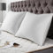 BedStory Oreillers 65x65 Lot de 2 avec Taies Amovibles avec Zip, Oreillers avec Garnissage 10% 7D et 90% 3D Fibre Polyester, Oreillers Qualité Hotel