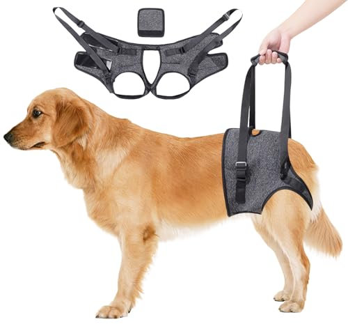 Aide au Transport pour Chien - Harnais de Levage pour Chien, Harnais de Soutien Réglable pour Les Pattes Arrière, Ceinture de Soutien et de Rééducation pour Chiens âgés, Blessés (Gris) (XL)