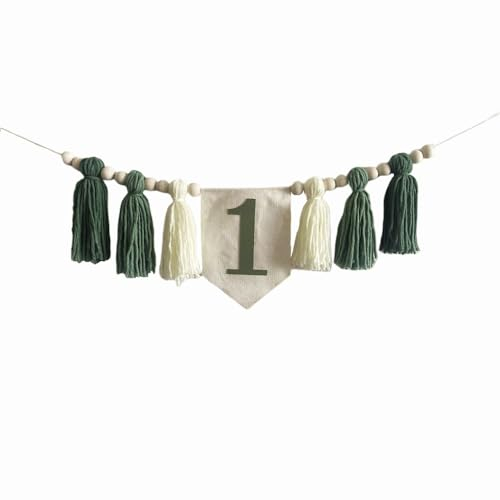 nuodslves Sage Green 1st Birthday High Chair Banner, Wild One Highchair Banner with Tassel for Baby First Birthday Party Decorations, Home Wall Hangings