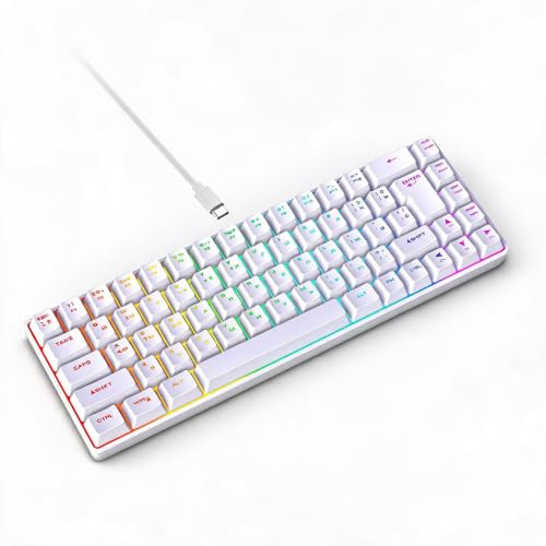 Annadue 68 Key Russian English Gaming Keyboard, RGB Backbellyst Mechanical Feel -tangentbord med 18 Belysningslägen, USB -kopplade för PC -spelare (Vit)