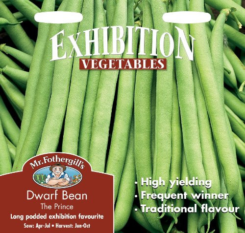 Mr Fothergill's Dwarf French Bean The Prince