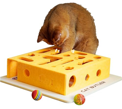 Puwaiio Juguetes de para Gatos – Caja interactiva de Laberinto de Inteligencia para Gatos con Bola, Suministros para Mascotas, Juguetes de enriquecimiento de Gatitos para Gatitos pequeños