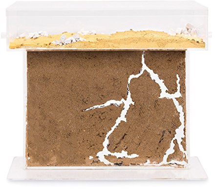 AntHouse - Natural Sand Ant Farm - Acrylic T BIG Kit 25x20x1,5 cm