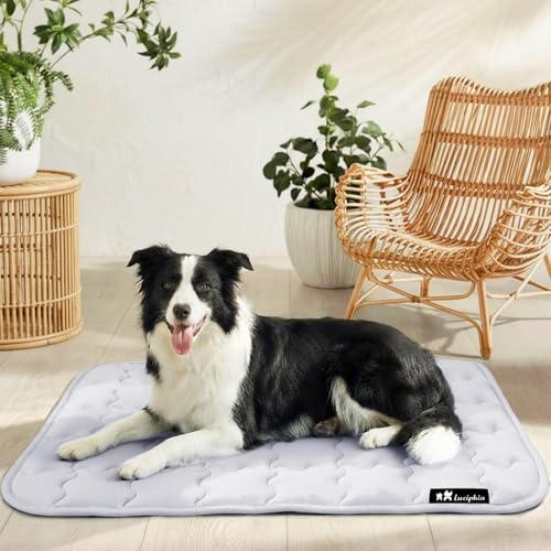 luciphia Alfombra refrescante para perros y gatos,Alfombrilla para perros,cojín refrescante para el verano,cama lavable para perros,manta refrescante perros grandes,medianos y pequeños Gris 102*153cm