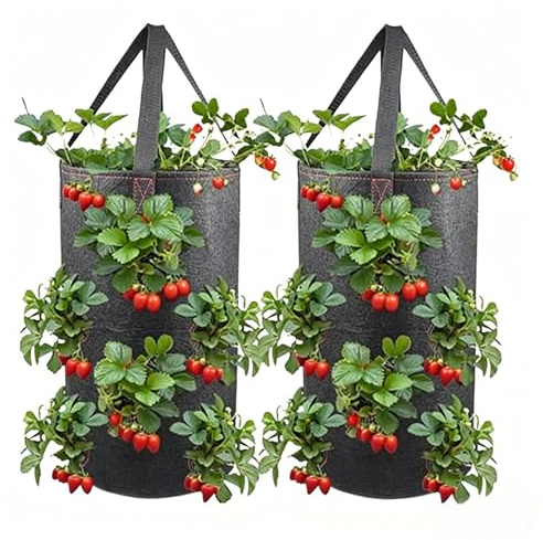 Jordgubbsodlingspåsar | 11,4 liter 11 planteringshål 2 stycken,Jordgubbsodlingspåse med Handtag | för utomhusväxter, paprika, grönsaker, frukt och hallon, träd, och