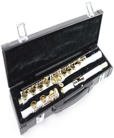 tvärflöjt instrument Flöjtinstrument 16-håls professionell flöjt