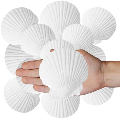 Dmnnlp 25 Pcs Scallop Shells, White Natural Seashell, 5cm -11cm Scallops for Fish Tank Beach Themed Party Home Wedding DIY Crafts Decorations