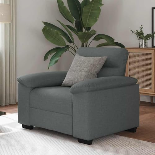 JHQHSM Poltrona Grigio Scuro in Tessuto Morbido e Resistente con Struttura in Legno e Metallo, Ampia Seduta 60 cm per Soggiorno e Ufficio, Design Moderno e Funzionale per Massimo