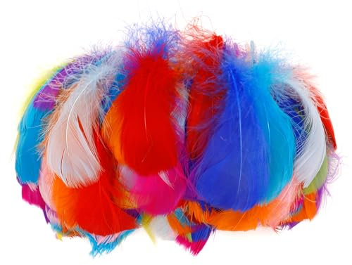 ENLACE Bunte Federn, 200 Stück Bunte Federn zum Basteln, 6-12 cm Natürliche Feder Deko, Basteln Federn Zubehör für DIY Ohrring, Hochzeit, Traumfänger, Kopfschmucksfedern, Ostern, Gemischte Farben
