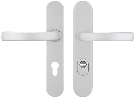 Bricard 9890171 Ensemble de poignées blindées Eline sur plaque en aluminium argent sablé pour porte d'entrée