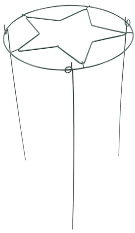 DIYEAH Soporte de Plantas Metálico para Jardín Enrejado para Plantas Trepadoras y Flores Estructura Resistente para Rosas y Vid Interiores y Exteriores