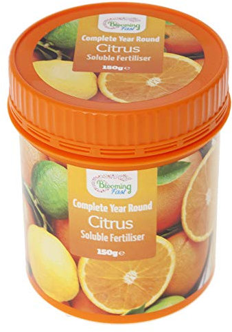 YouGarden Blooming Fast Citrus Feed Soluble 150g Tub, Citrus Plant Food for Orange Trees, Lemon Trees, Lime Trees and Exotic Fruit Trees Perfect for Gardeners