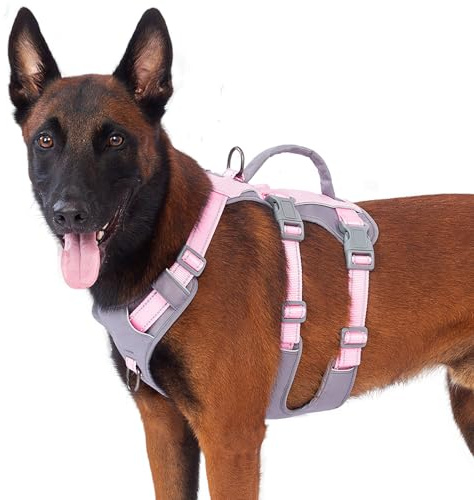 Huntboo pettorina cane taglia piccola media grande, pettorina antifuga con manico, traspirante, regolabile, riflettente, leggera, per passeggiate e addestramento (Rosa,L)