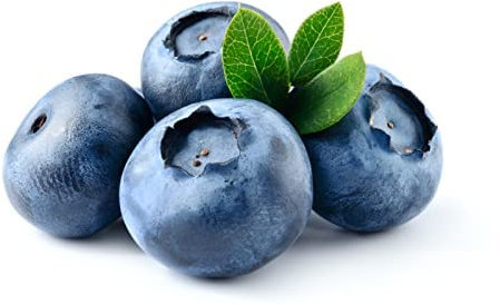 Blueberry Plants, 'Chandler', 3 x Full Plants in 2 Litre Pots, Blueberries, Garden Blueberry, Garden Ready, Premium Quality Fruit