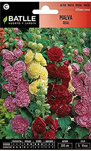 Batlle - Semi di Fiori, Malva Reale