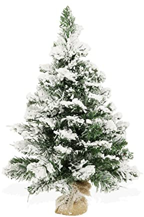 Parent Argo/Ulisse (Innevato, 60 cm)
