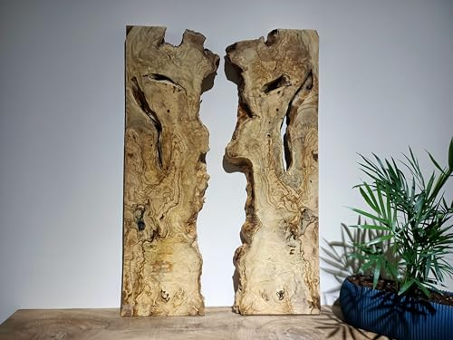 Skilled Hands - Losa de Olivo para Bricolaje y Mesa de Río Epoxi, Mesa de Resina, Madera Clara para Resina Epoxi, Burl I (2), WS02