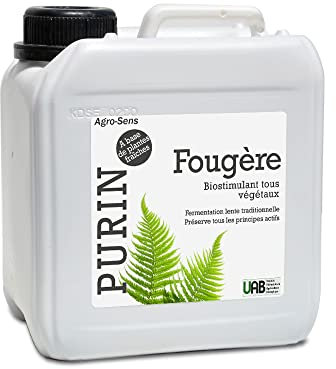 Purin de fougère concentré - 2 Litres