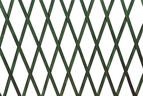 VERDELOOK Traliccio Estensibile in Legno, 100x300 cm, Verde, Decorazioni terrazza