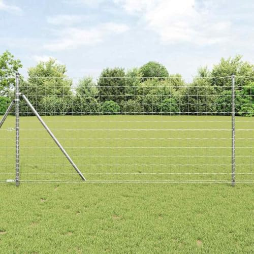 Euro staket silver 1,2 x 25 m, galvaniserat järn, robusta trädgårdsstaketpaneler, väderbeständigt metallstaket för trädgård och terrass, hållbar utomhusinhägnad