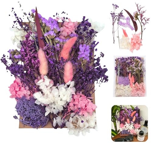 JiaaOne Natural Dried Flowers for Crafts, Premium Pressed Flowers with Cardboard Backing, Dry Flowers for Decoration, Craft Flowers Ideal for DIY, Resin Accessories, Wall Art, Gift Making (Purple)