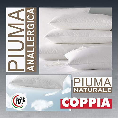 Evodreams Nuovo Coppia Guanciali in Piuma D'Oca 100% con Tessuto in Puro Cotone a Tenuta Piuma - Igienico e antiallergico - Prodotto Fatto in Italia