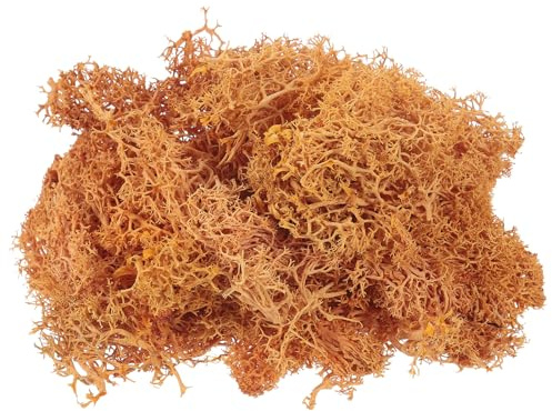 QUARKZMAN 3,5 OZ Muschio Finto per Artigianato, Muschio Artificiale Naturale Preservato per Progetti Artigianato Floreale Fai Da Te Decorazione Pareti Matrimoni Giardini (Arancia)