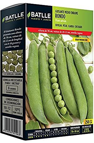 Semillas Batlle Guisante RONDO