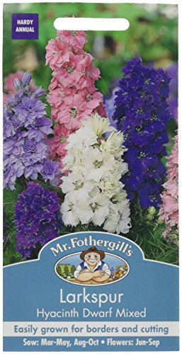 Mr Fothergill's 16223 Flower Seeds, Larkspur Hyacinth Dwarf Mixed