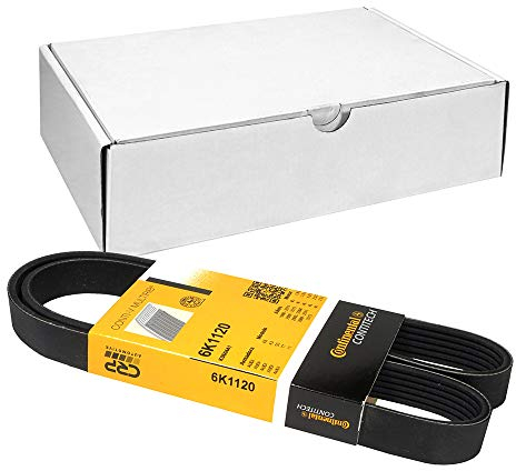 CONTITECH 6PK1120 Keilrippenriemen