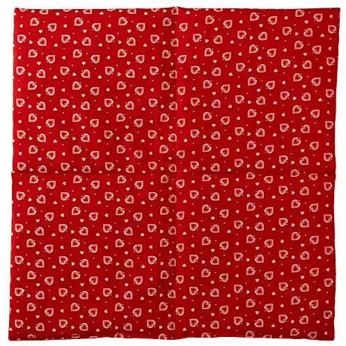 Grande cuscino con semi di colza- 40x40cm - 4 compartimenti- Cuore rosso - Cuscino termino con semi