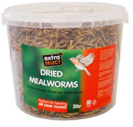 Extra Select Dried Mealworms Wild Bird Feed Treat, 3 Litre