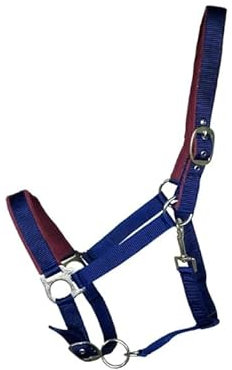 OR S-LINE Halfter Soft-Basic weich unterlegtes Weidenhalfter für Pferde verstellbar, Cob, Pony verfügbar (Blau, Full)