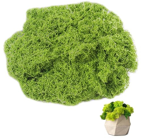GBKDQQ Islandmoos, 150g Moos zum Basteln, Echtes Deko-Moos Konserviertes Dekomoos Isländisch Moos zum Moosbild Basteln Deko und Modellbau, Kunstmoos Künstliches Moos für Dekorieren (hellgrün)