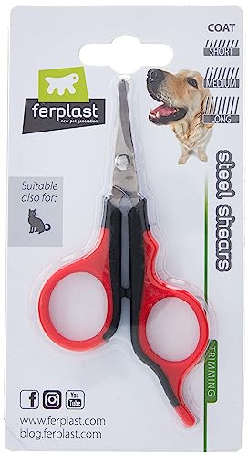 Ferplast Ciseaux de tonte pour chiens et chats, lames en acier inoxydable et pointes arrondies, adaptés aux poils courts, moyens et longs