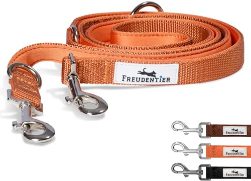 FREUDENTIER Correa para perros de 2 m – Correa ajustable – Acolchado suave, agradable en la mano – Correa resistente para perros medianos y grandes – Modelo Clyde (naranja, 2 m de largo / 20 mm de