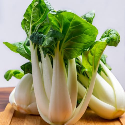Semillas de col china - Semillas de Pak Choi - de interior Comprar de invierno de balcón 400pcs