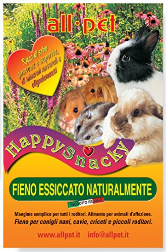 All Pet Fieno Happy snachy 1kg
