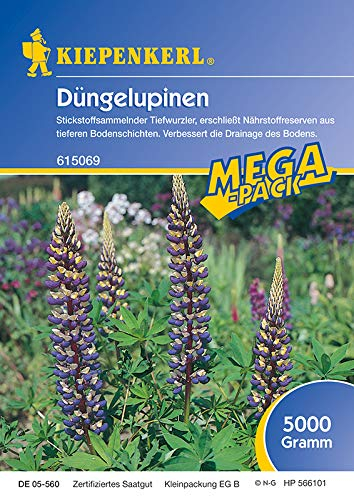 Kiepenkerl Gründünger Lupine 5 Kg