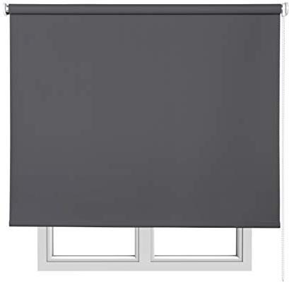 Estores Basic 15956 - Estor Opaco, Gris Oscuro, 160 x 180 cm, 1 Unidad