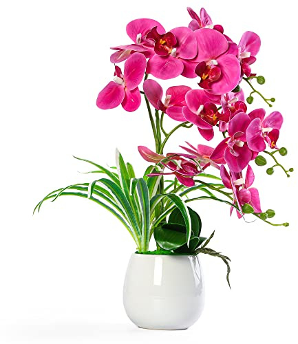 W&W Artificial Orchid Plants and Flowers with Vase, Fake Faux Orchid in Ceramic Pot,19”, Fuchsia