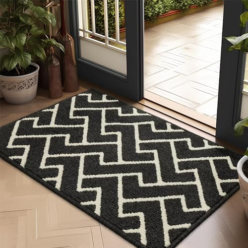 Biscpro Schmutzfangmatte 50x80 Fußmatte, Wasserdicht Schmutzabsorption Matte Fussmatte für Außen Innen Eingang, Garten, Teppich, küchenteppich
