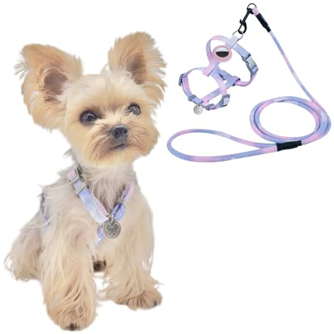 YorkieGogo Arnés y correa anti-tracción con soporte AirTag para animales pequeños, chaleco refrescante, perfecto para verano, XXS (púrpura, talla S)
