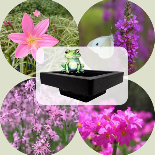 WASSERPFLANZEN WOLFF - FROG-ISLAND violettrosa- SCHWIMMINSEL inklusive Pflanzen - REIHERSCHUTZ - 4er-Mix mit Pflanzinsel - QUALITÄTSSTAUDEN im Pflanzkorb - Frosch-Insel für Gartenteich