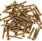 Bargainscrews Lot de 200 vis à cartons multi usages 5.0 x 40mm