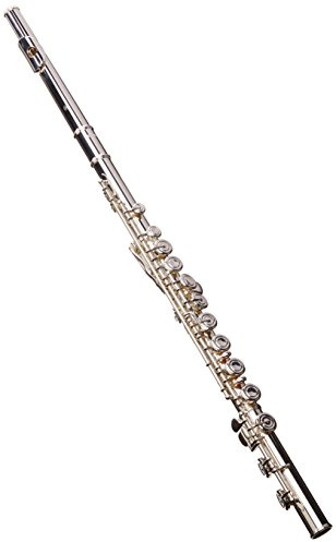Yamaha YFL-222 Intermediate Flute for Student (International Version)