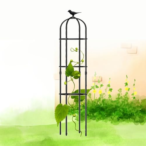 Treillis obélisque de Jardin pour Plantes grimpantes, Cage de Support en métal, Hauteur 120-190 cm, stabilisateur pour Plantes en Pot, Noir, 35 x 150 cm (13,8 x 59 po), idéal pour vignes et