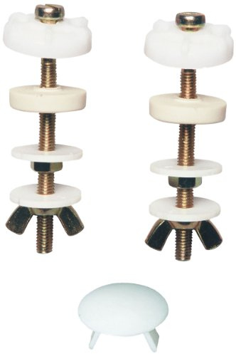 Wirquin 19021009 M21 - Viti per fissaggio cassette WC