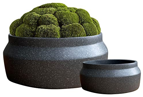 Grunt växtkrukor set 2 suckulenta växtkrukor runda keramiska plantor inomhus kaktus, bonsai, suckulenter blomkrukor bred växt kruka skål inomhus planterare