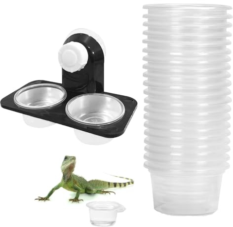 KxrTpx 31Pcs tortoise Water Bowl, Reptile Water Bowl, Reptile Accessories for Vivarium, for Crested Lizard and Other Small Pet Ledge Accessories